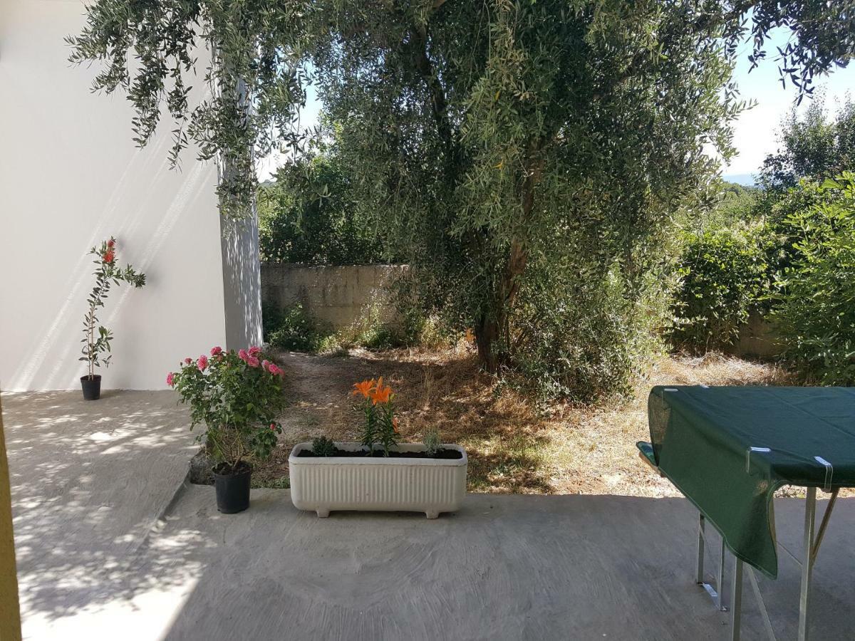 Apartment Silvija Ližnjan 外观 照片